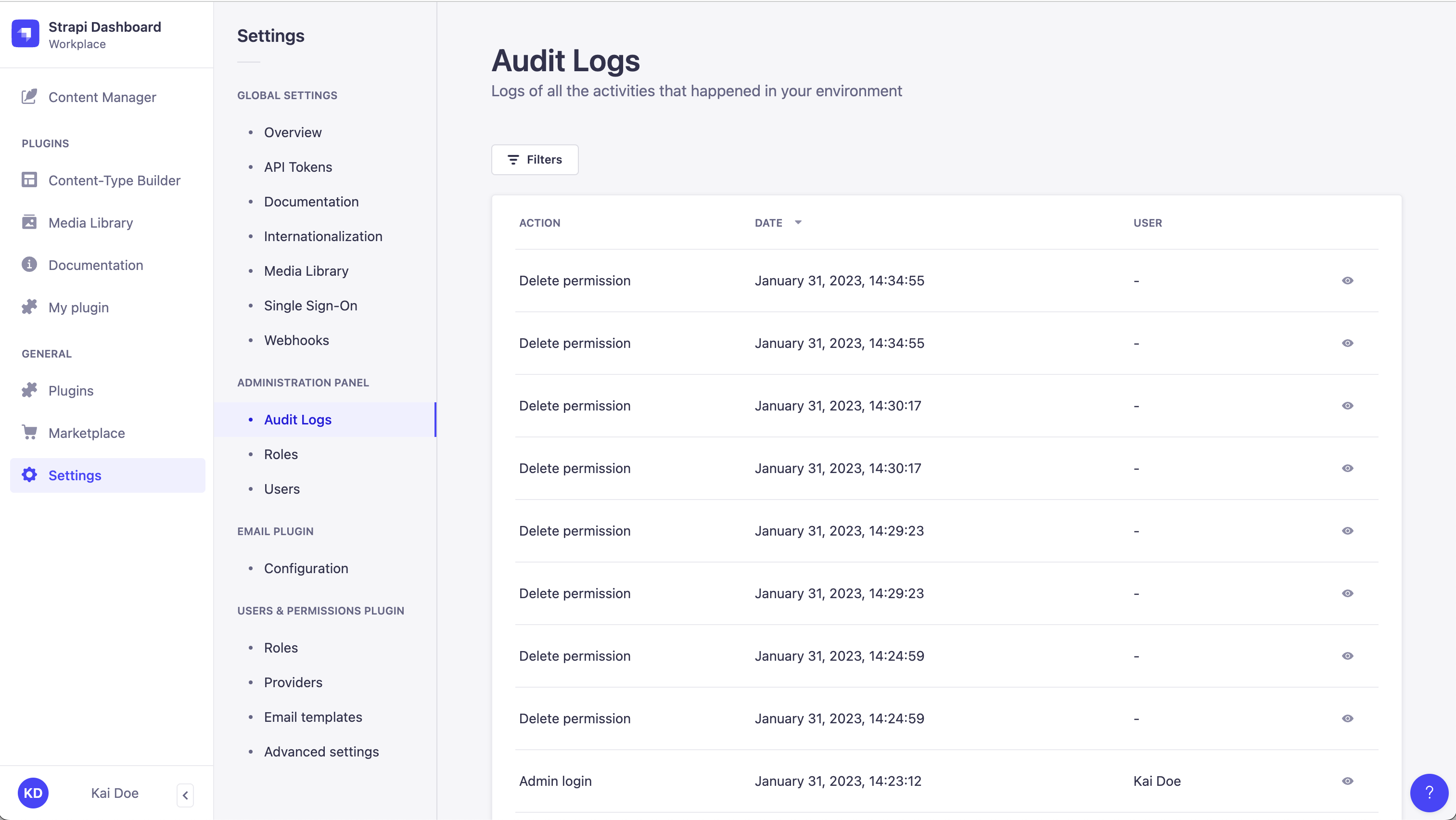 Audit Logs panel